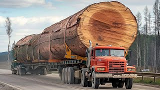 : INCREDIBLE ! 155 Biggest Wood Logging Truck Industrial Machines Operator Skill At Another Level