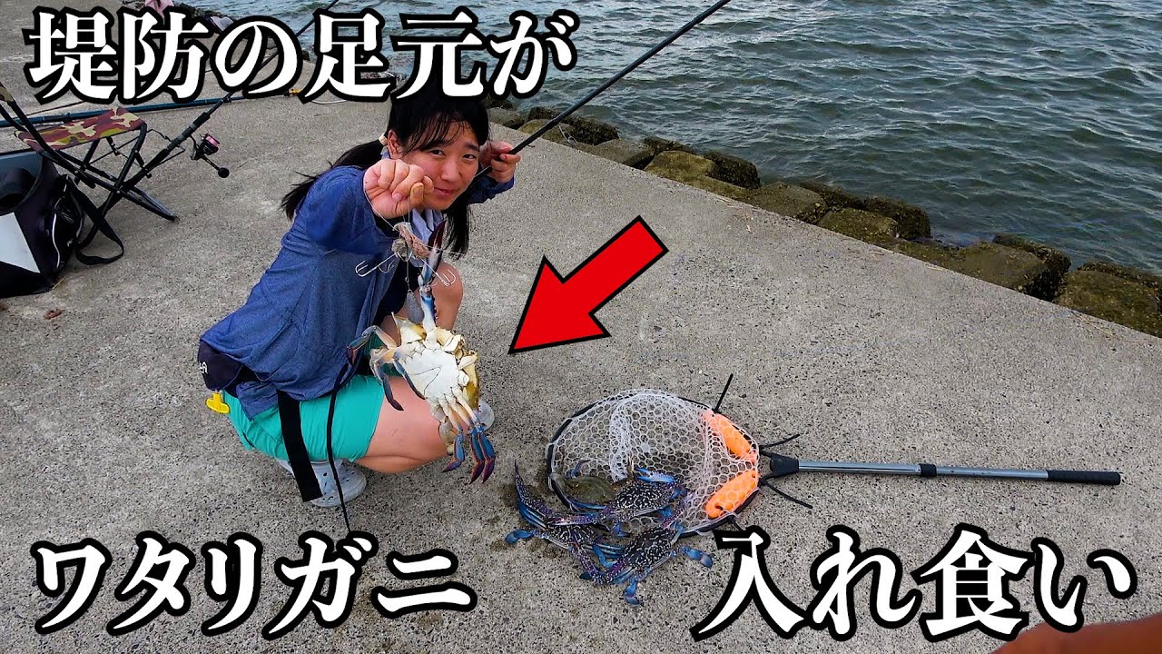 【丸儲け】特大ワタリガニが入れ食いの新仕掛け。