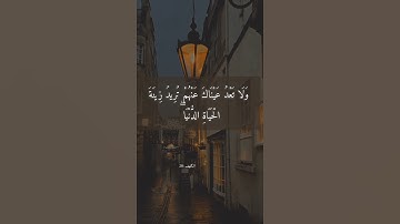 واصْبرْ نَفسَكَ معَ الذِينَ يَدْعُونَ رَبَّهُم بِالْغَدَاةِ وَالْعَشِي..) القارئ محمد صديق المنشاوي