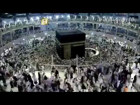 تلاوة كردية متقنة من الشيخ د ماهر المعيقلي لفواتح سورة يس ليلة ٢١ رمضان ١٤٣٦هـ