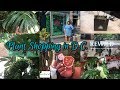 Plant Shopping in Washington, D.C. | Little Leaf + ReWild | Local Plant Shops