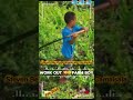 Jnr farm workout #farmlife #Namosi #Camaisala #Fiji