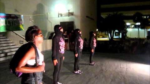 Sigma Lambda Gamma - Fearless Phi Gamma Chapter - SPRING 2010 Probate (1/5)