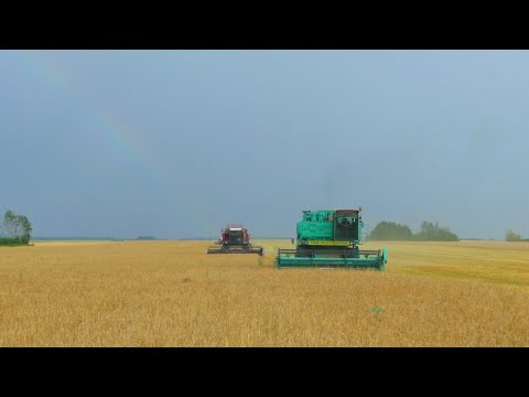 131,132-Д(9,10д.уб-ки яч-я)Ремонт привода насоса ГУРа на МАЗ-5551.Убираем ячмень ДОН,АКРОС,ПАЛЕССЕ