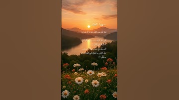 الشيخ عبد الرحمن السديس تلاوة جميلة للقرآن الكريم💫🍁🖤