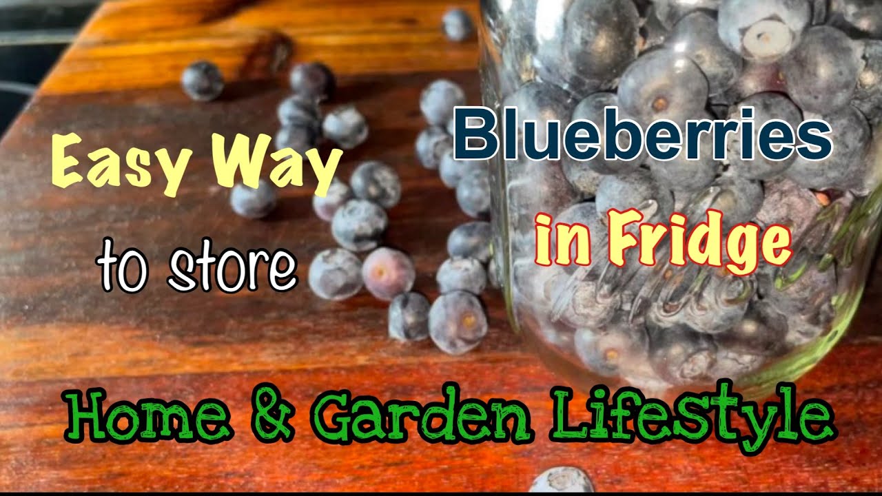 Home & Garden Lifestyle Easy Way to Store Blueberries in your Fridge