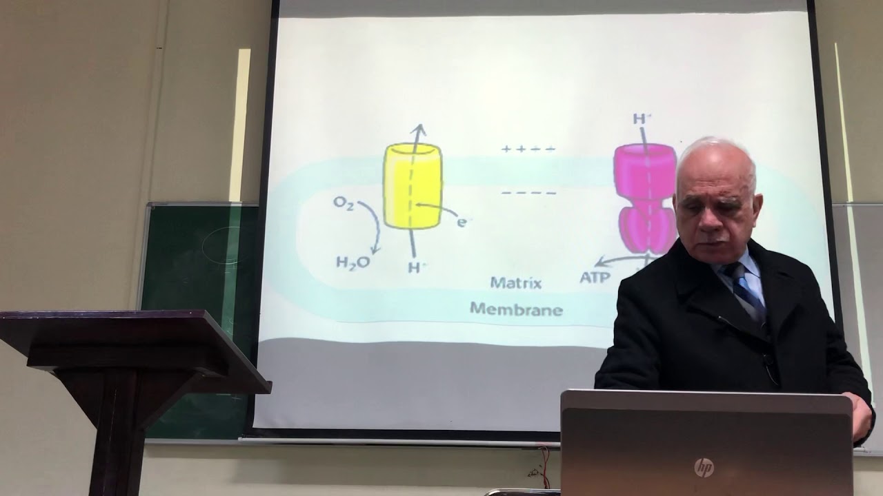 Lecture 11 - YouTube