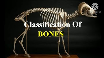 CLASSIFICATION OF BONES (Veterinary) | Veterinary first year