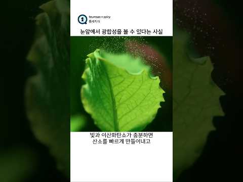 눈앞에서 광합성을 볼 수 있다는 사실 thumbnail