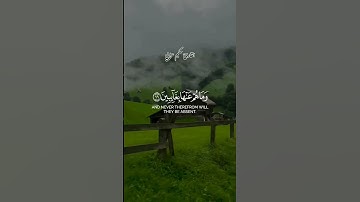 قران الكريم #قران_كريم_راحة_نفسية #الشيخ #عبد_العزيز_سحيم #عبدالرحمن_سعد #القارئ #القارئ_عرابي_حكيم
