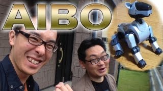 SONY アイボ　本体 News and Information ”AIBO（アイボ）”にBluetoothTM搭載モデル