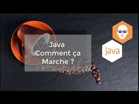 Vidéo: Comment ça marche en Java ?