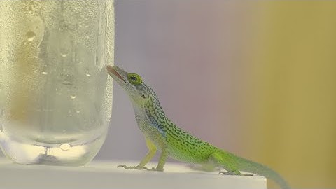 LUMIX S1H + NINJA V ProRes RAW shooting experiences with DP Stuart Morgan