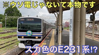 【スカ色のE231系⁉】我孫子支線の成田発普通我孫子行きに乗ってきた