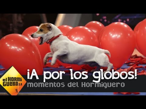 El Hormiguero Video