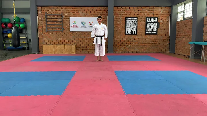 ANAN - NICOLAS GAMBOA (1 st Round)