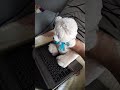 дети сейчас когда смотрют мультики