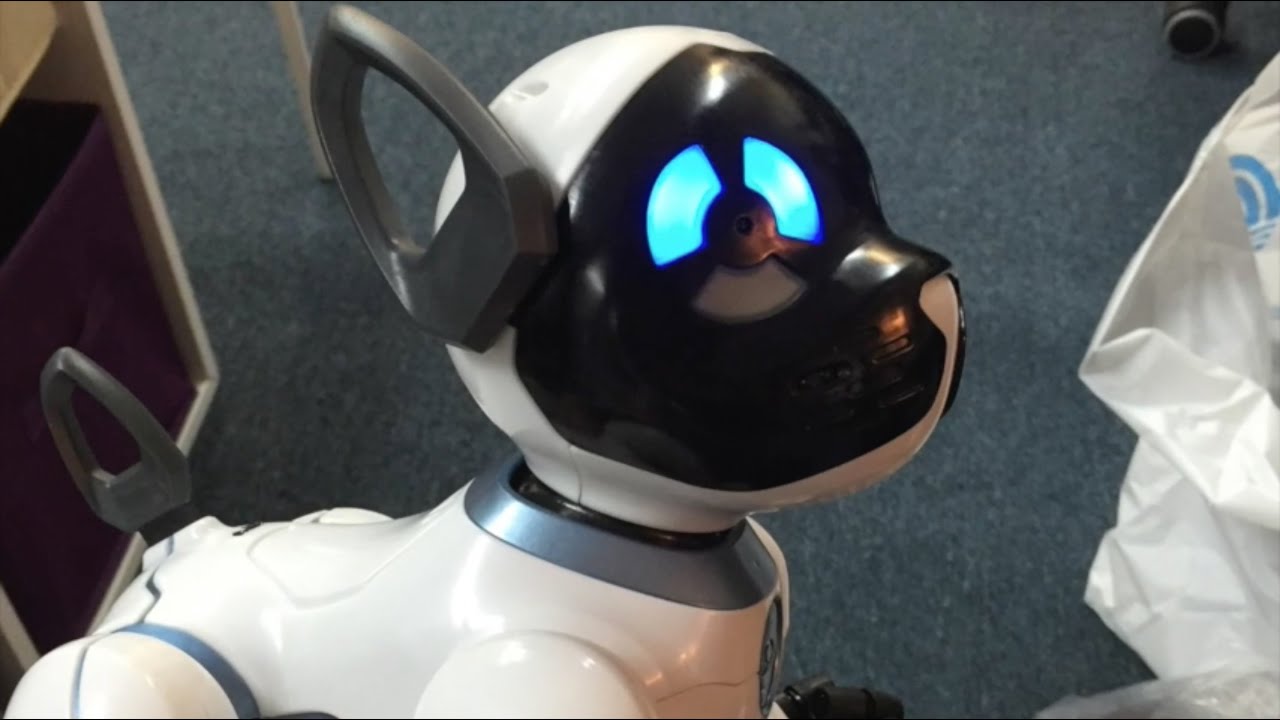 chip the lovable robot dog