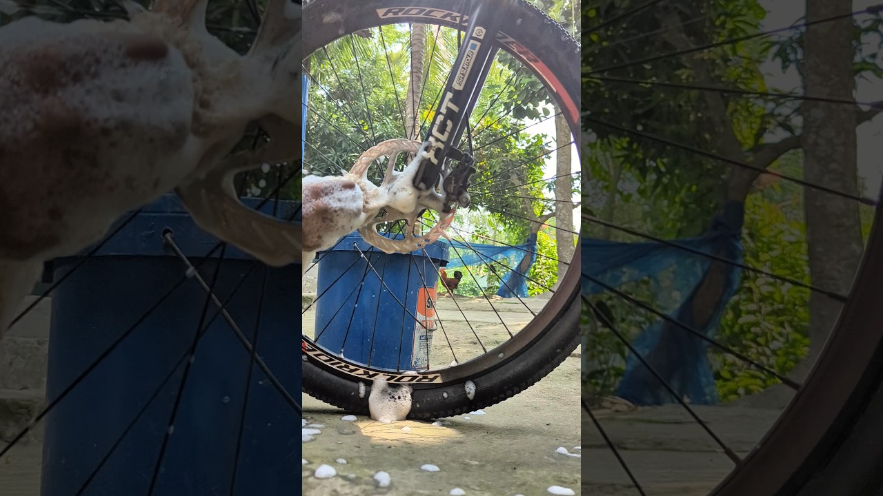 কিভাবে rotor noise এর সমস্যা সমাধান করবেন 😃😃😃| #minivlog #vlog