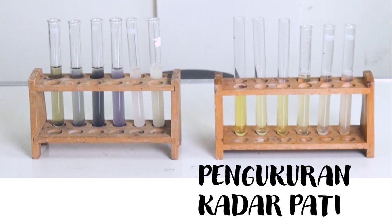 PENGUKURAN KADAR PATI (FP UB)