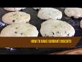 Easy biscuit recipe : Currant biscuits