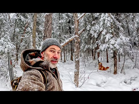 50 dagen alleen: een warme, geïsoleerde hut bouwen in het winterbos
