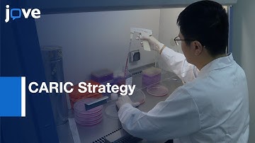 CARIC Strategy to Identify RNA-binding Proteins | Protocol Preview