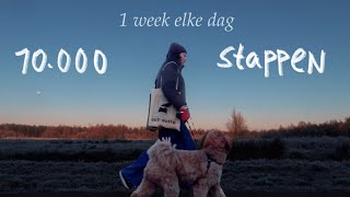 ik liep 1 week lang elke dag 10.000 stappen & dit was het resultaat