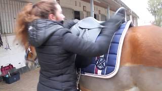 Fma - Ein Tag Am Stall Mit Nemo 09.02.2018 Ii Nemothefisheye