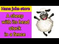 Funny Dirty Joke - A sheep with its head stuck in a fence and ...