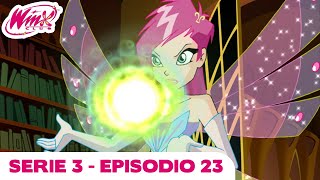 Winx Club  Episodio Completo  La Sfida Dei Maghi  Serie 3 Episodio 23