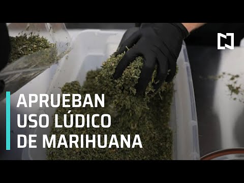 Aprueban en comisiones del Senado uso lúdico de la marihuana - Las Noticias