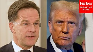 Download Lagu NATO Secretary General Mark Rutte Reacts To Trump's Renewed Claims To Annex Greenland MP3
