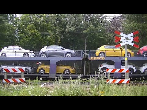 Spoorwegovergang Rheden // Dutch railroad crossing
