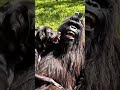 Bigfoot and his dog. #bigfootvlogs #ai #dog