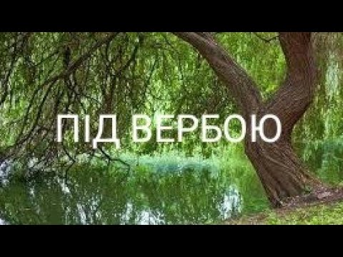 ПІД ВЕРБОЮ українськіпісні новамузика Music сучасніпісні