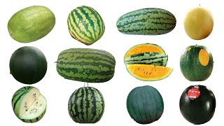 12 Best Varieties Of Watermelon | Watermelon Cultivars