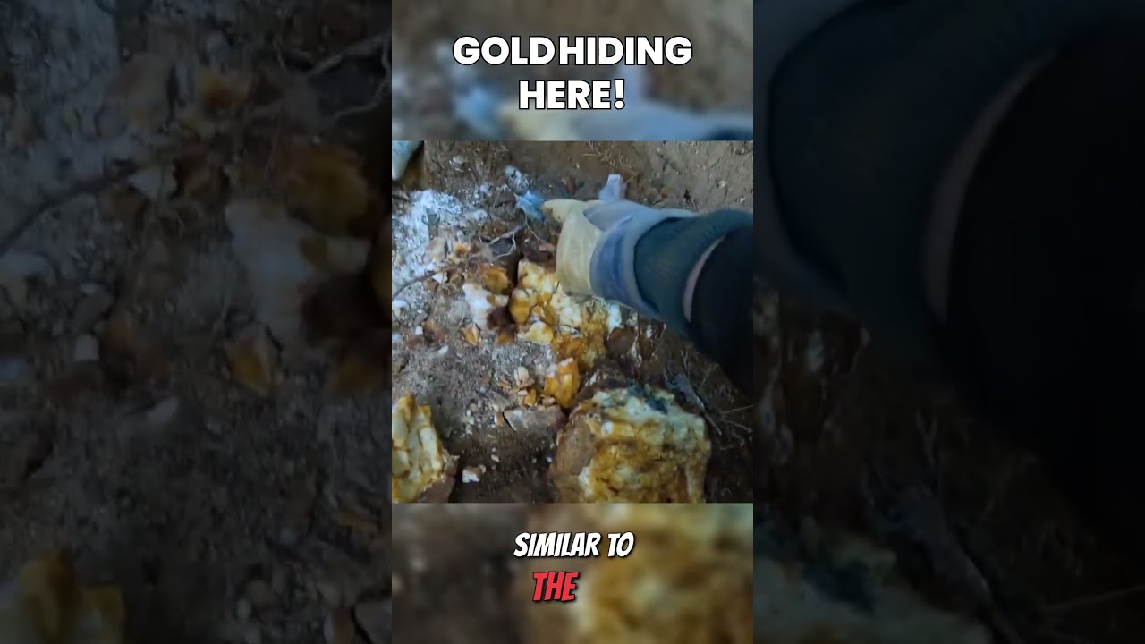 Gold in the Pyrrhotite Pocket!! #shorts