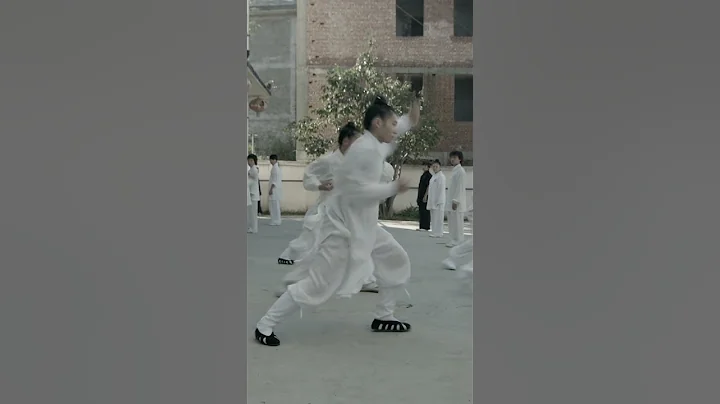 Wudang Mountain Tai Chi is a Hard Martial Art - DayDayNews