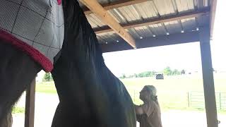 Zalika Gets A Shower