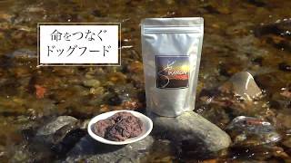 鹿肉ドッグフード SIKARON