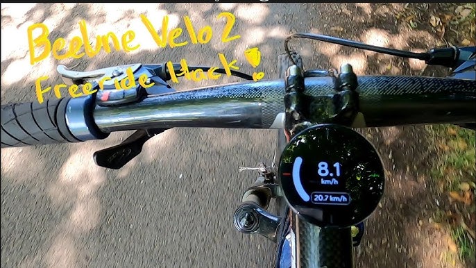 Beeline Velo 2 Review 