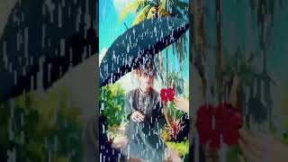 Download Lagu Sapu nyere pegat simpay MP3 Download Lagu Sapu nyere pegat simpay MP3
