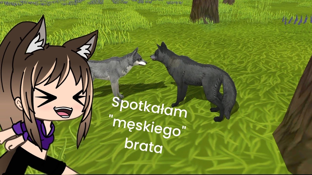 Ryk Niebezpieczeństwo odc.11 Powrót do rodziny! Za dużo powiązań z wojo?.. Walka z bratem!