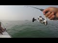 Mancing di pantai kuta#sot tidak jauh ternyata ada ikan ini
