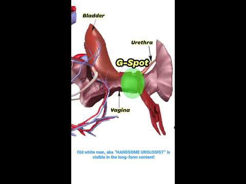 Where Is The G Spot UroChannel
