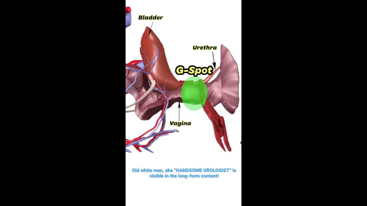 Where Is The G Spot UroChannel
