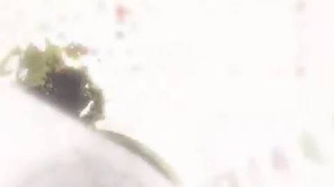 NieR:Automata | Debug Mode goes hard on PS4