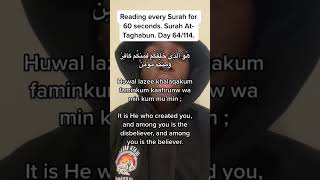 Surah Al-Taghabun for 60 seconds. Surah 64/114. #quranwabdoolydool #quran #quran 60secondsofquran