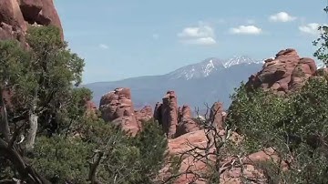 Tiny Bouncing Objects 6.0 [Orchestral Mix] feat. Video by Ron Zucker